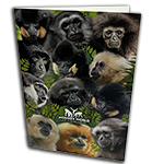 GIBBON CARD A6